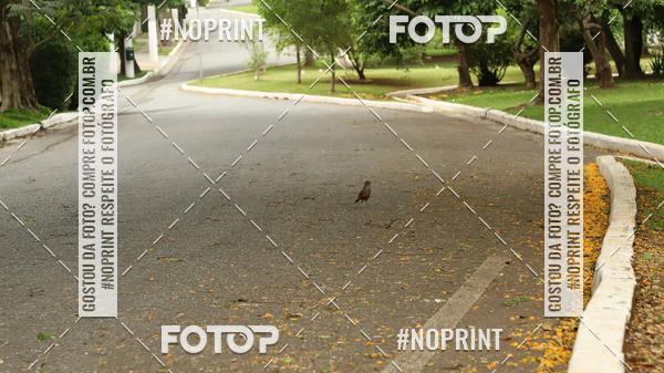 Buy your photos of the event7 Circuito de Corridas Trilopez - 11 Etapa on Fotop