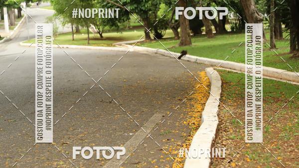 Buy your photos of the event7 Circuito de Corridas Trilopez - 11 Etapa on Fotop