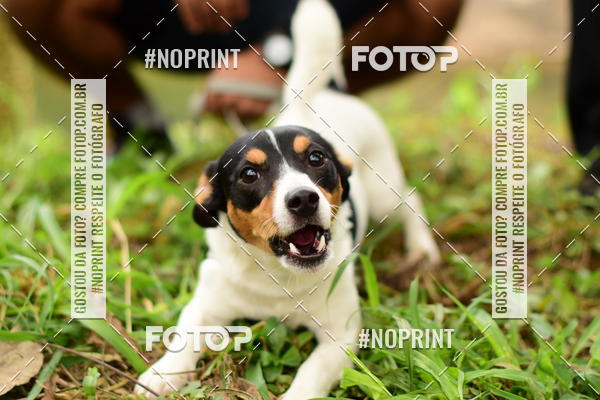 Buy your photos of the eventCircuito Cervejeiro de Corrida - Etapa Lumiar on Fotop