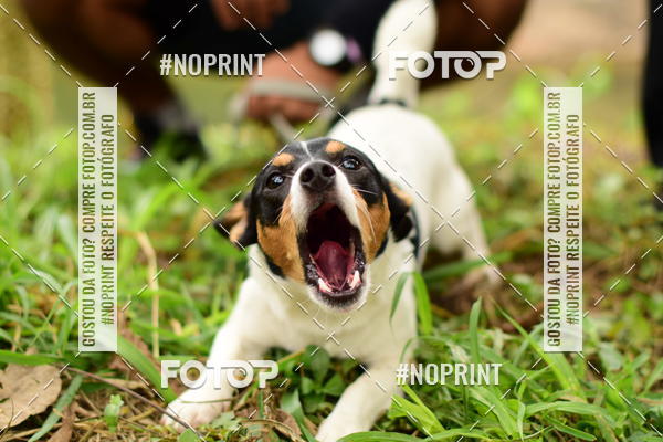Buy your photos of the eventCircuito Cervejeiro de Corrida - Etapa Lumiar on Fotop