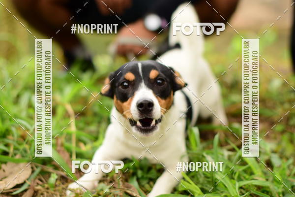 Buy your photos of the eventCircuito Cervejeiro de Corrida - Etapa Lumiar on Fotop