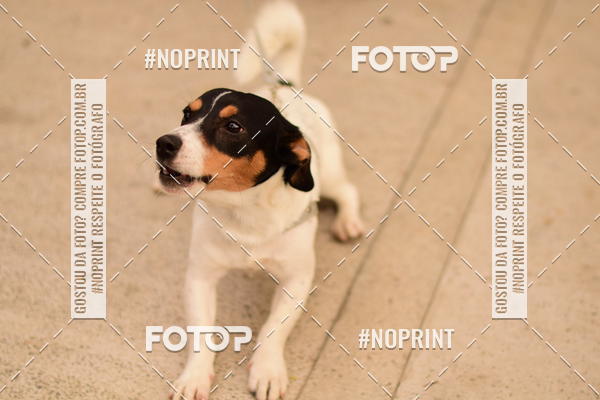 Buy your photos of the eventCircuito Cervejeiro de Corrida - Etapa Lumiar on Fotop