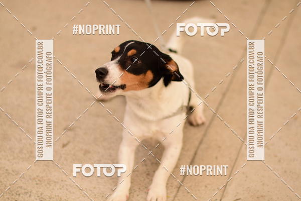 Buy your photos of the eventCircuito Cervejeiro de Corrida - Etapa Lumiar on Fotop