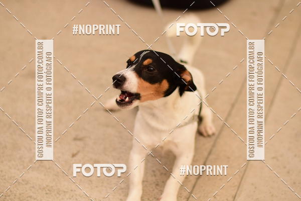 Buy your photos of the eventCircuito Cervejeiro de Corrida - Etapa Lumiar on Fotop