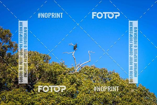 Buy your photos of the event15 TRILHAO DO MORANGO on Fotop