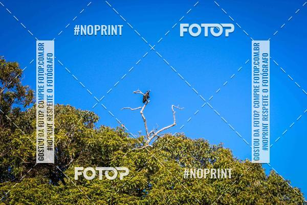 Buy your photos of the event15 TRILHAO DO MORANGO on Fotop