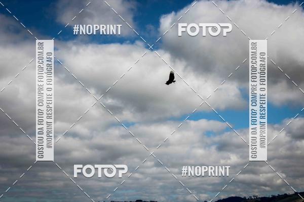 Buy your photos of the event15 TRILHAO DO MORANGO on Fotop