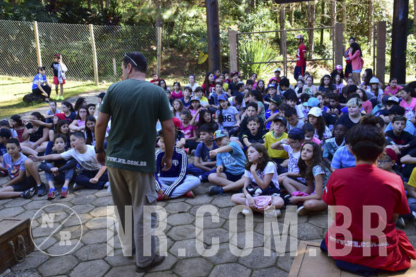 Buy your photos of the eventNR1 - Cl�ssico 27 a 30/06/19 on Fotop