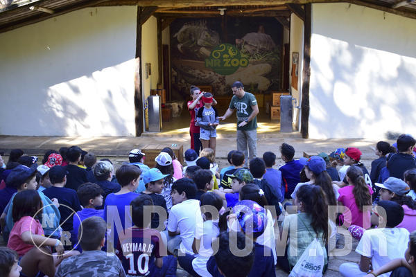 Buy your photos of the eventNR1 - Cl�ssico 27 a 30/06/19 on Fotop