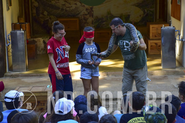 Buy your photos of the eventNR1 - Cl�ssico 27 a 30/06/19 on Fotop