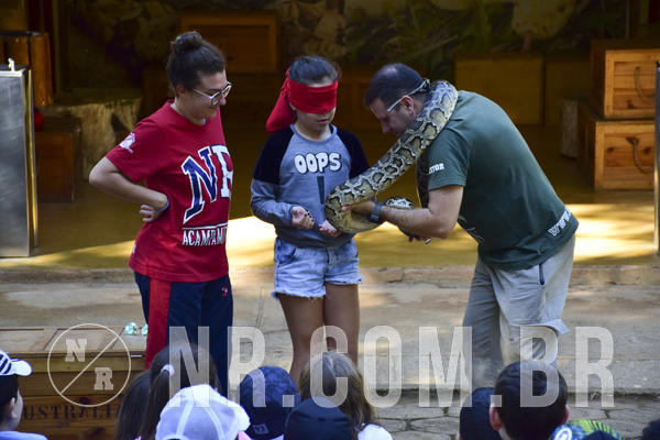 Buy your photos of the eventNR1 - Cl�ssico 27 a 30/06/19 on Fotop