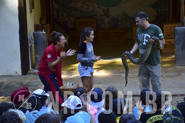 Buy your photos of the eventNR1 - Cl�ssico 27 a 30/06/19 on Fotop