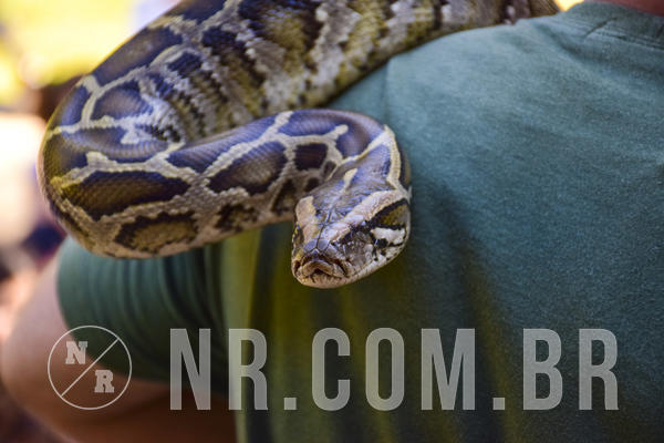 Buy your photos of the eventNR1 - Cl�ssico 27 a 30/06/19 on Fotop