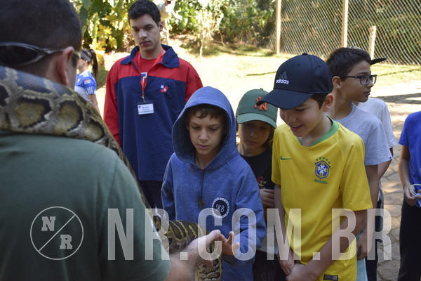 Buy your photos of the eventNR1 - Cl�ssico 27 a 30/06/19 on Fotop