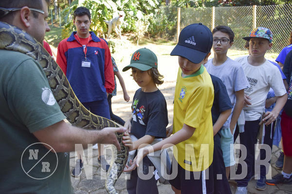 Buy your photos of the eventNR1 - Cl�ssico 27 a 30/06/19 on Fotop