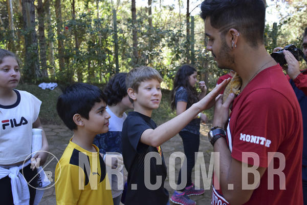 Buy your photos of the eventNR1 - Cl�ssico 27 a 30/06/19 on Fotop