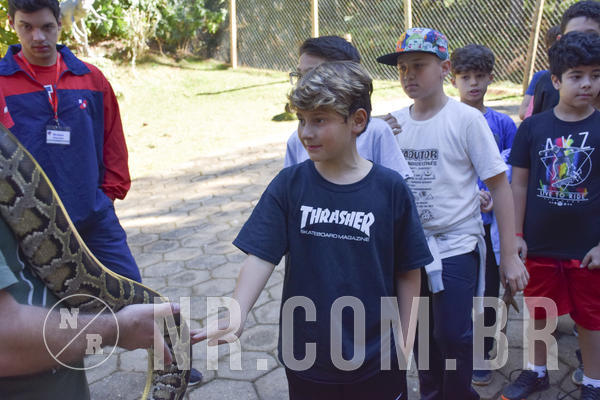 Buy your photos of the eventNR1 - Cl�ssico 27 a 30/06/19 on Fotop