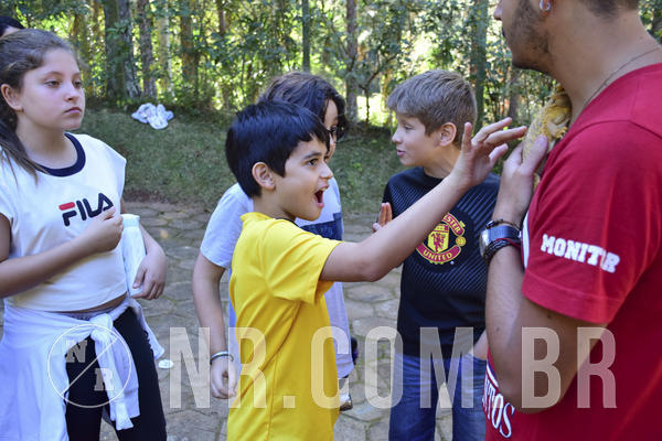 Buy your photos of the eventNR1 - Cl�ssico 27 a 30/06/19 on Fotop