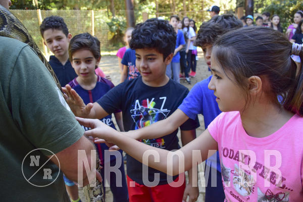 Buy your photos of the eventNR1 - Cl�ssico 27 a 30/06/19 on Fotop