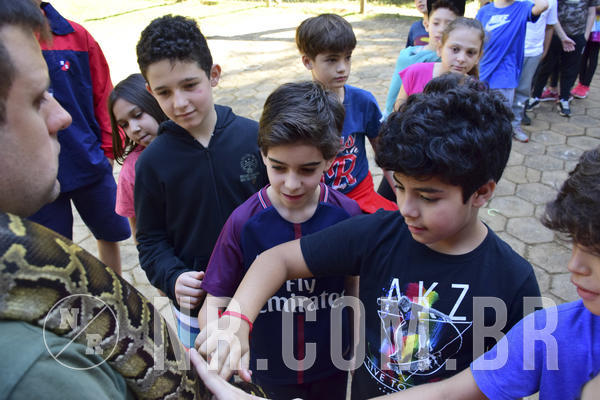 Buy your photos of the eventNR1 - Cl�ssico 27 a 30/06/19 on Fotop