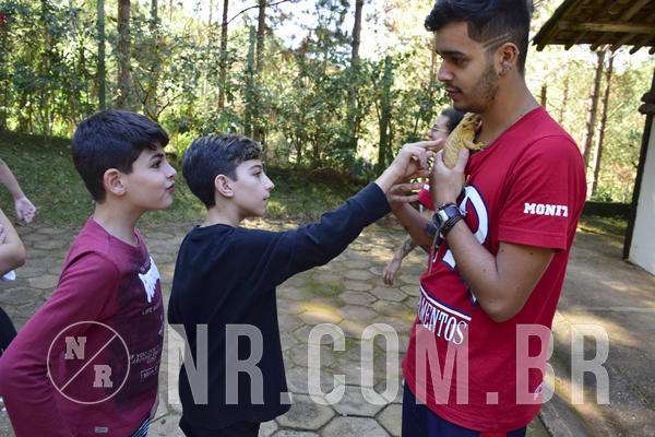 Buy your photos of the eventNR1 - Cl�ssico 27 a 30/06/19 on Fotop