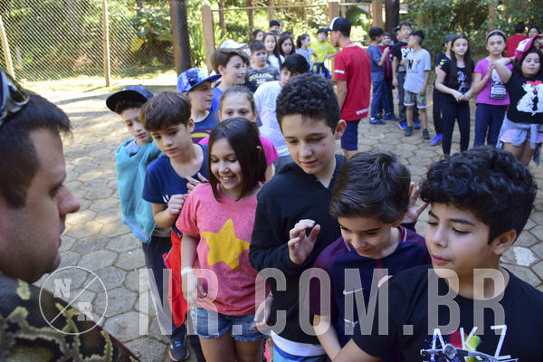 Buy your photos of the eventNR1 - Cl�ssico 27 a 30/06/19 on Fotop