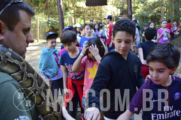 Buy your photos of the eventNR1 - Cl�ssico 27 a 30/06/19 on Fotop