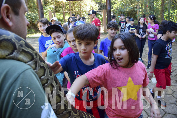 Buy your photos of the eventNR1 - Cl�ssico 27 a 30/06/19 on Fotop