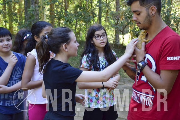 Buy your photos of the eventNR1 - Cl�ssico 27 a 30/06/19 on Fotop