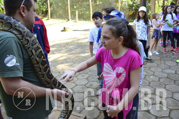 Buy your photos of the eventNR1 - Cl�ssico 27 a 30/06/19 on Fotop