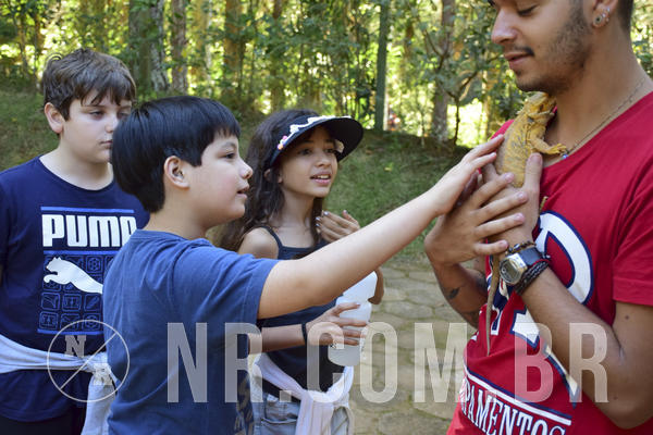 Buy your photos of the eventNR1 - Cl�ssico 27 a 30/06/19 on Fotop