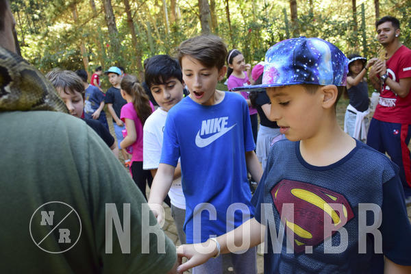 Buy your photos of the eventNR1 - Cl�ssico 27 a 30/06/19 on Fotop