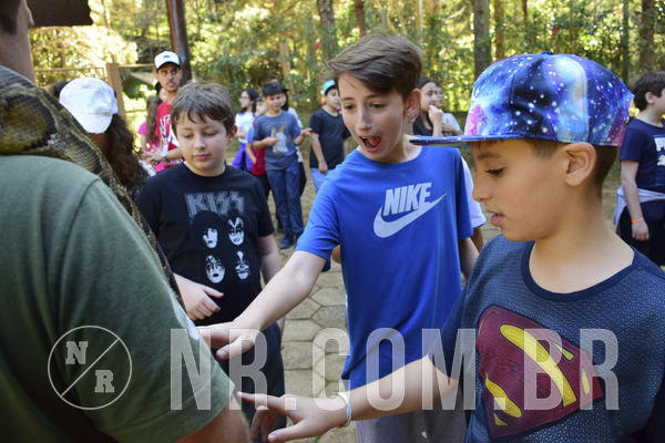 Buy your photos of the eventNR1 - Cl�ssico 27 a 30/06/19 on Fotop