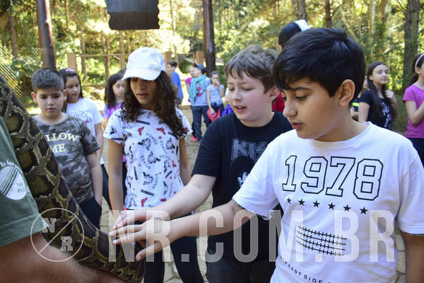 Buy your photos of the eventNR1 - Cl�ssico 27 a 30/06/19 on Fotop