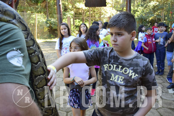 Buy your photos of the eventNR1 - Cl�ssico 27 a 30/06/19 on Fotop