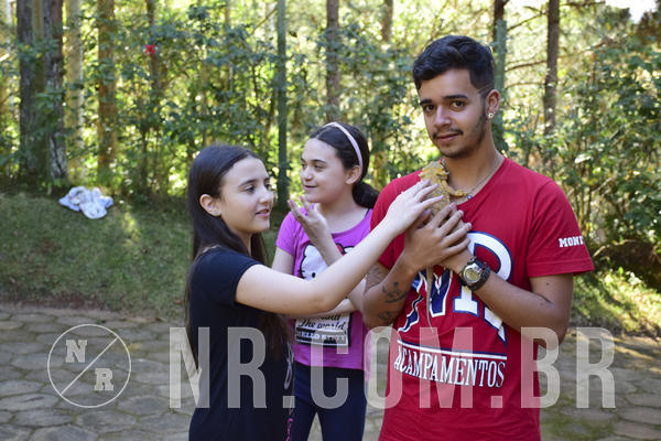 Buy your photos of the eventNR1 - Cl�ssico 27 a 30/06/19 on Fotop