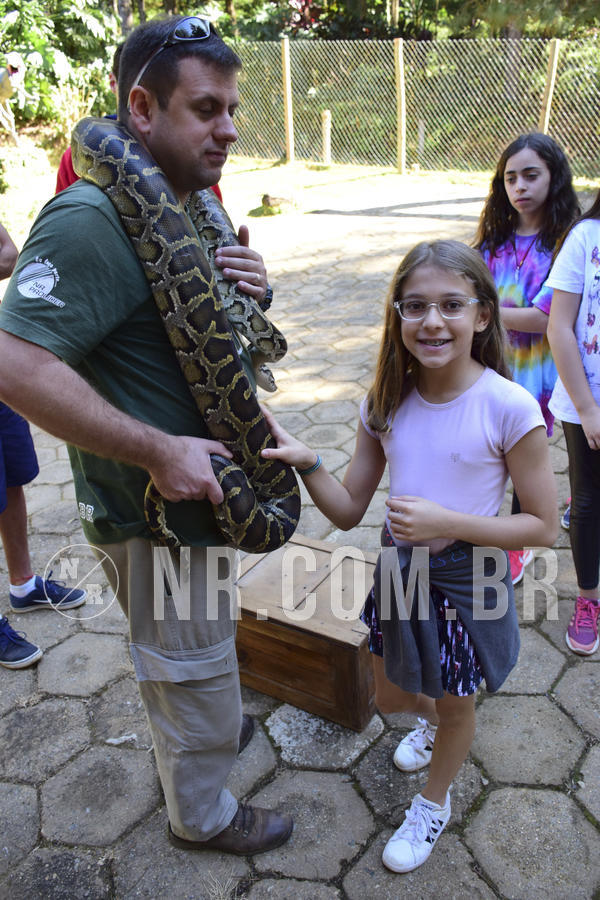 Buy your photos of the eventNR1 - Cl�ssico 27 a 30/06/19 on Fotop