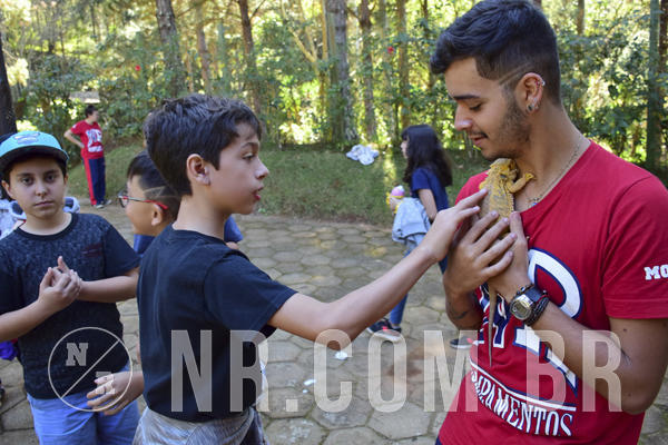 Buy your photos of the eventNR1 - Cl�ssico 27 a 30/06/19 on Fotop