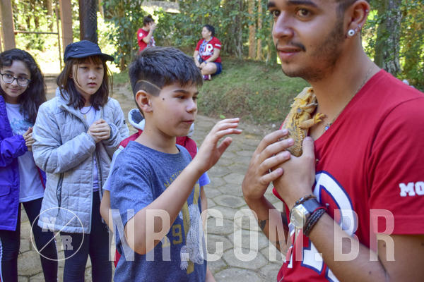 Buy your photos of the eventNR1 - Cl�ssico 27 a 30/06/19 on Fotop