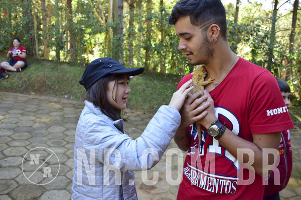 Buy your photos of the eventNR1 - Cl�ssico 27 a 30/06/19 on Fotop