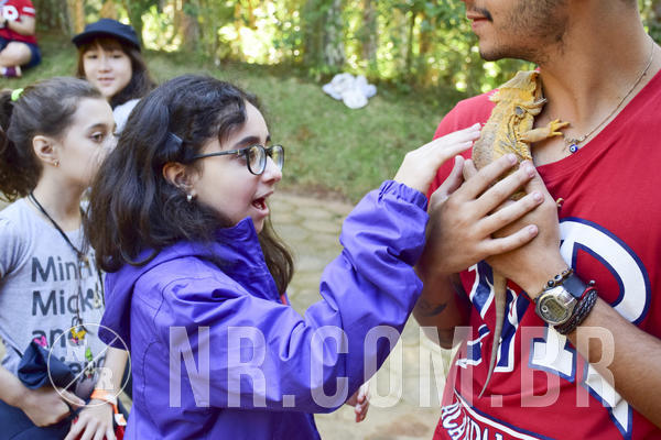 Buy your photos of the eventNR1 - Cl�ssico 27 a 30/06/19 on Fotop