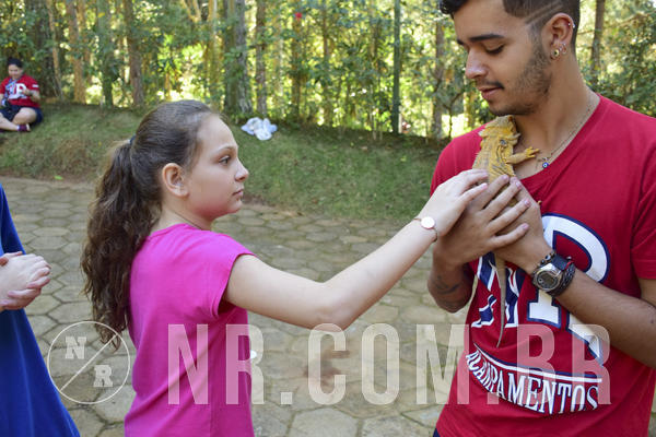 Buy your photos of the eventNR1 - Cl�ssico 27 a 30/06/19 on Fotop