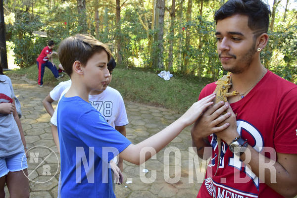 Buy your photos of the eventNR1 - Cl�ssico 27 a 30/06/19 on Fotop