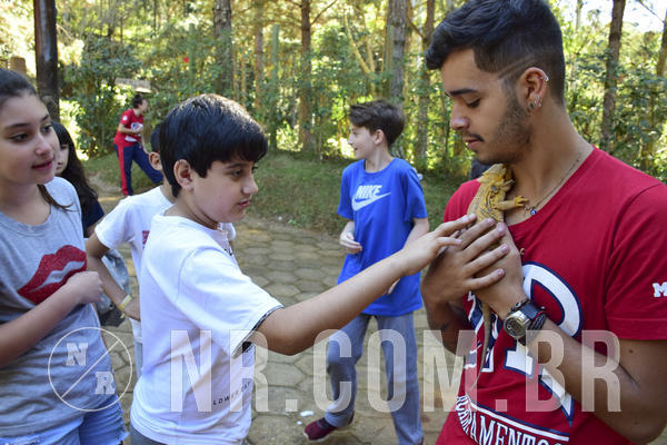 Buy your photos of the eventNR1 - Cl�ssico 27 a 30/06/19 on Fotop