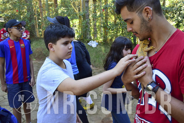 Buy your photos of the eventNR1 - Cl�ssico 27 a 30/06/19 on Fotop