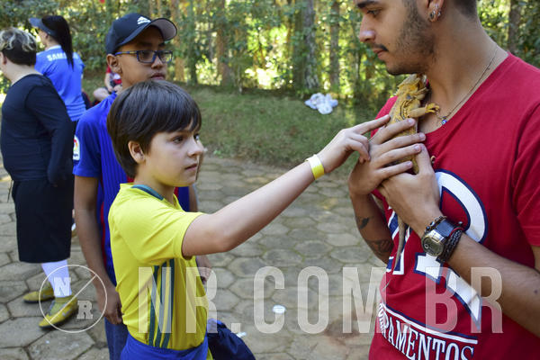 Buy your photos of the eventNR1 - Cl�ssico 27 a 30/06/19 on Fotop