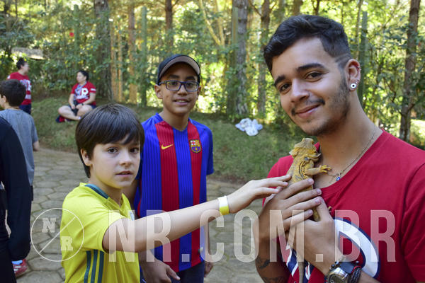 Buy your photos of the eventNR1 - Cl�ssico 27 a 30/06/19 on Fotop