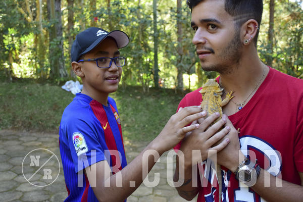 Buy your photos of the eventNR1 - Cl�ssico 27 a 30/06/19 on Fotop