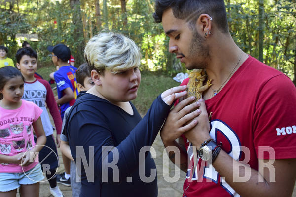 Buy your photos of the eventNR1 - Cl�ssico 27 a 30/06/19 on Fotop