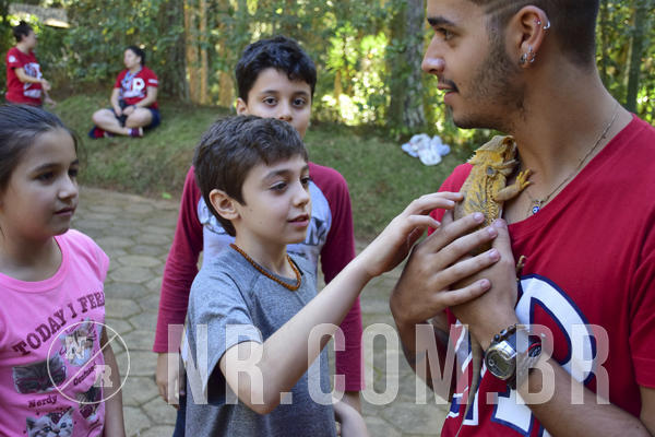 Buy your photos of the eventNR1 - Cl�ssico 27 a 30/06/19 on Fotop